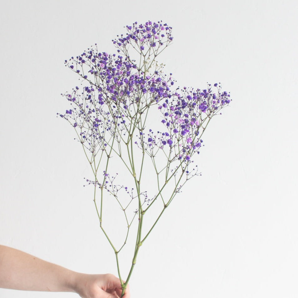 6 Stems 69cm Purple Baby's Breath Artificial Flowers Baby's Breath Gyp –  FiveSeasonStuff