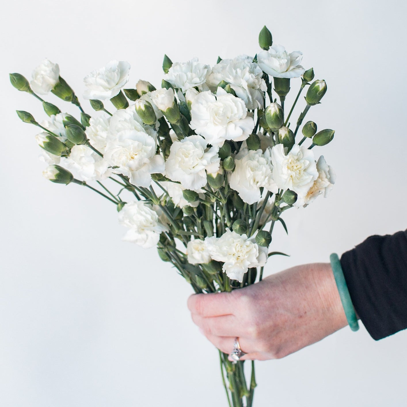 white mini carnation flower