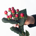 bulk red hypericum berries