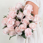blush/light pink rose