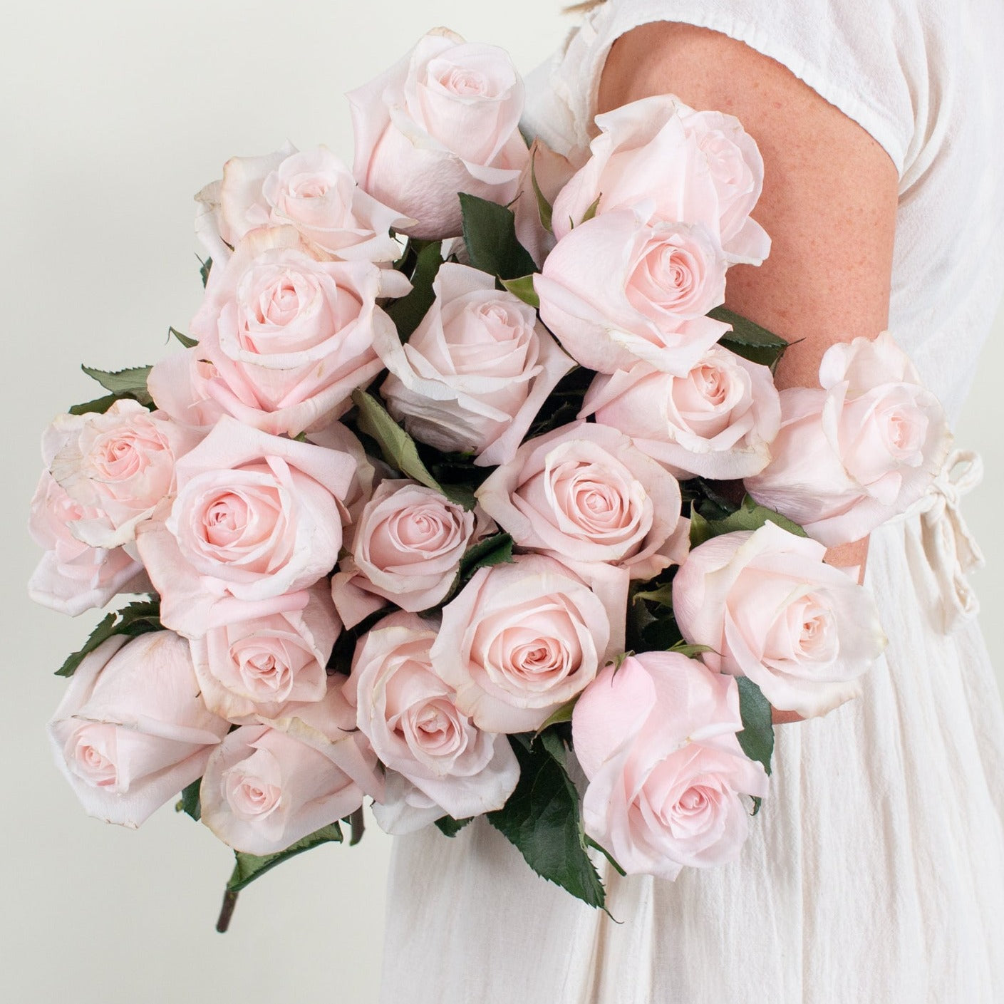 blush/light pink roses