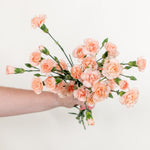 bulk peach mini carnations
