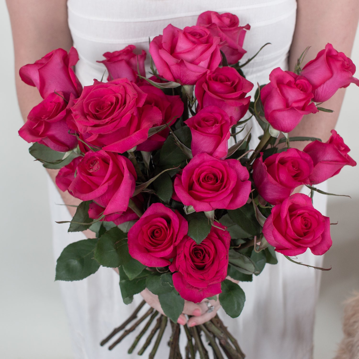 hot pink roses