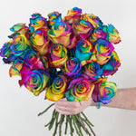 bulk rainbow pride rose