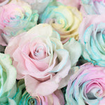 bulk rainbow pastel rose