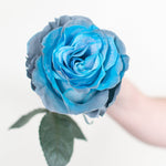 bulk blue grey rose