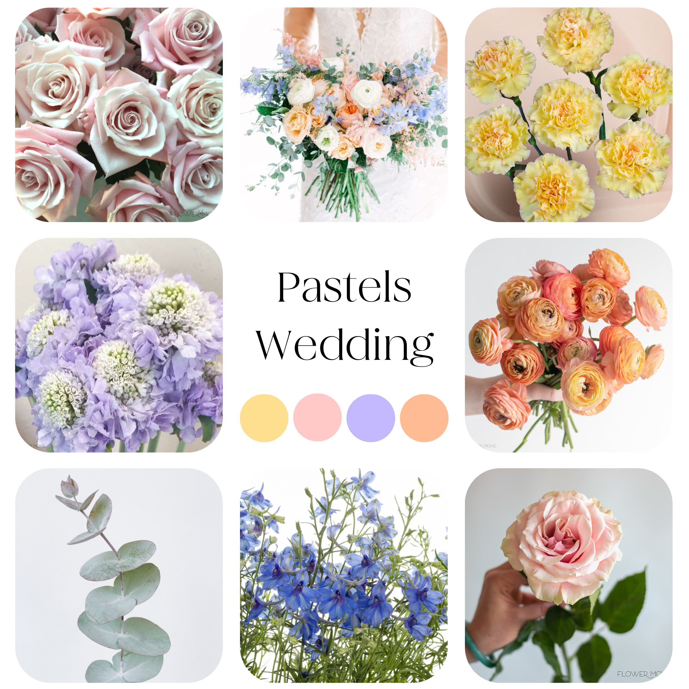 pastels palette diy wedding flowers kit