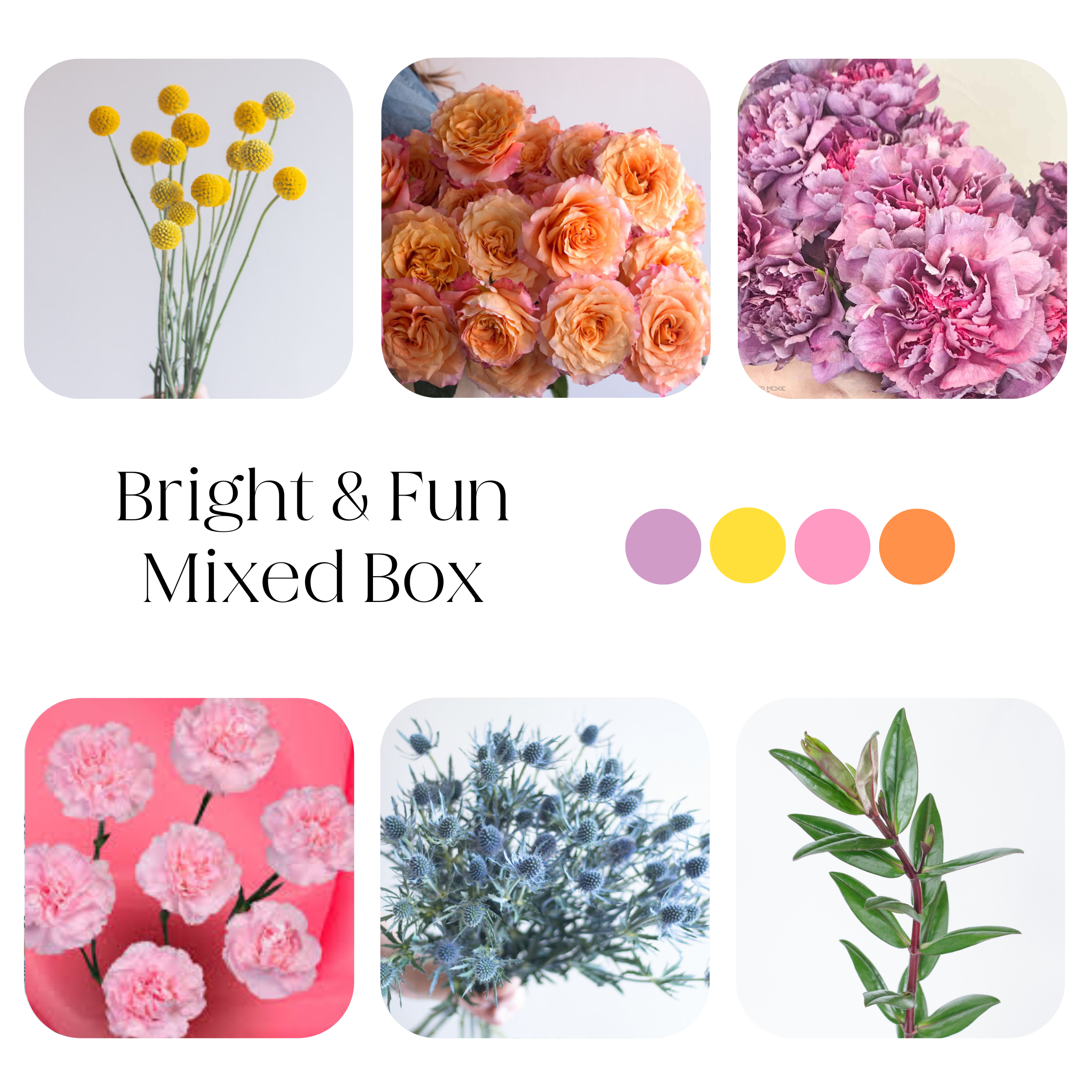 bright and fun diy flower box