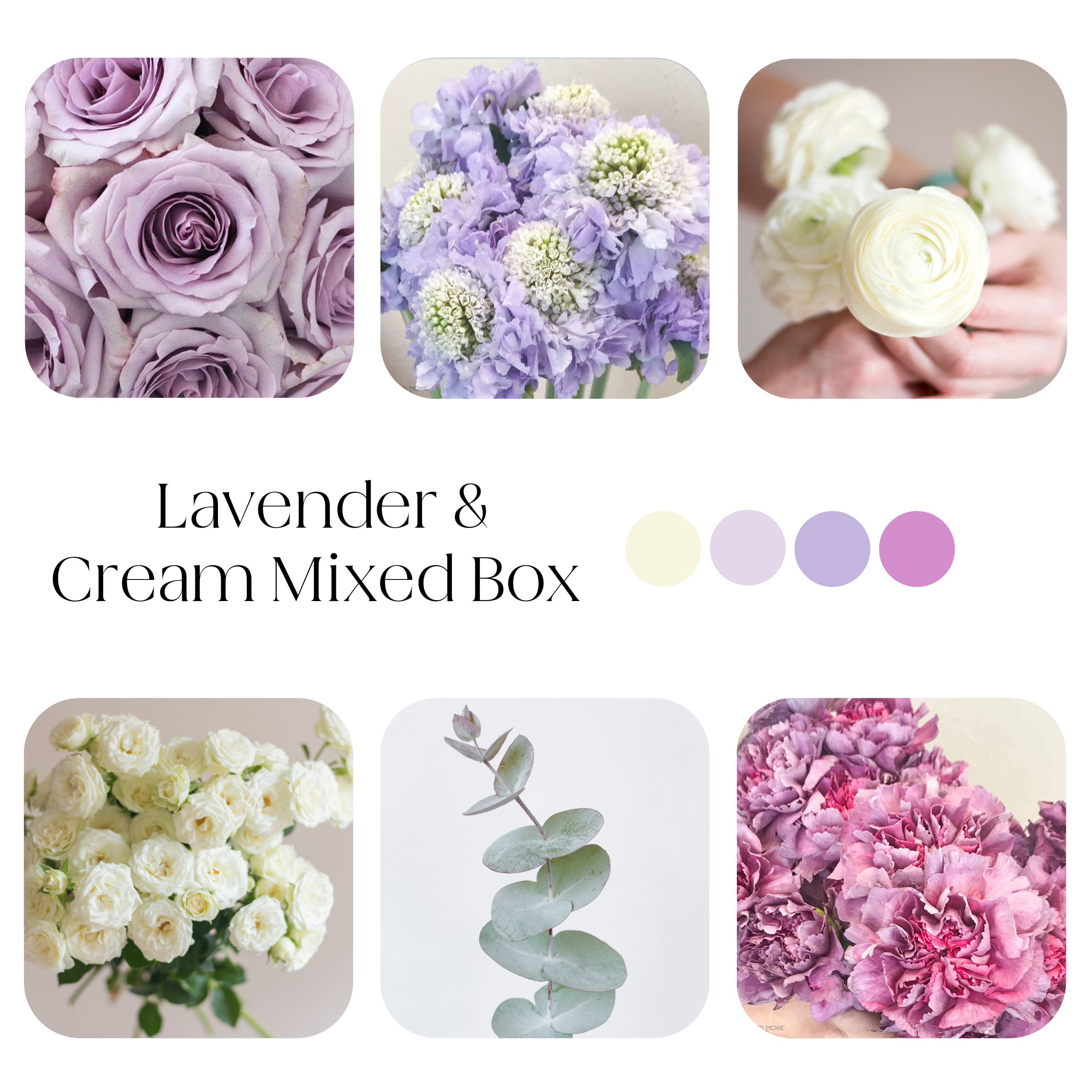 lavender and cream mixed diy flower box