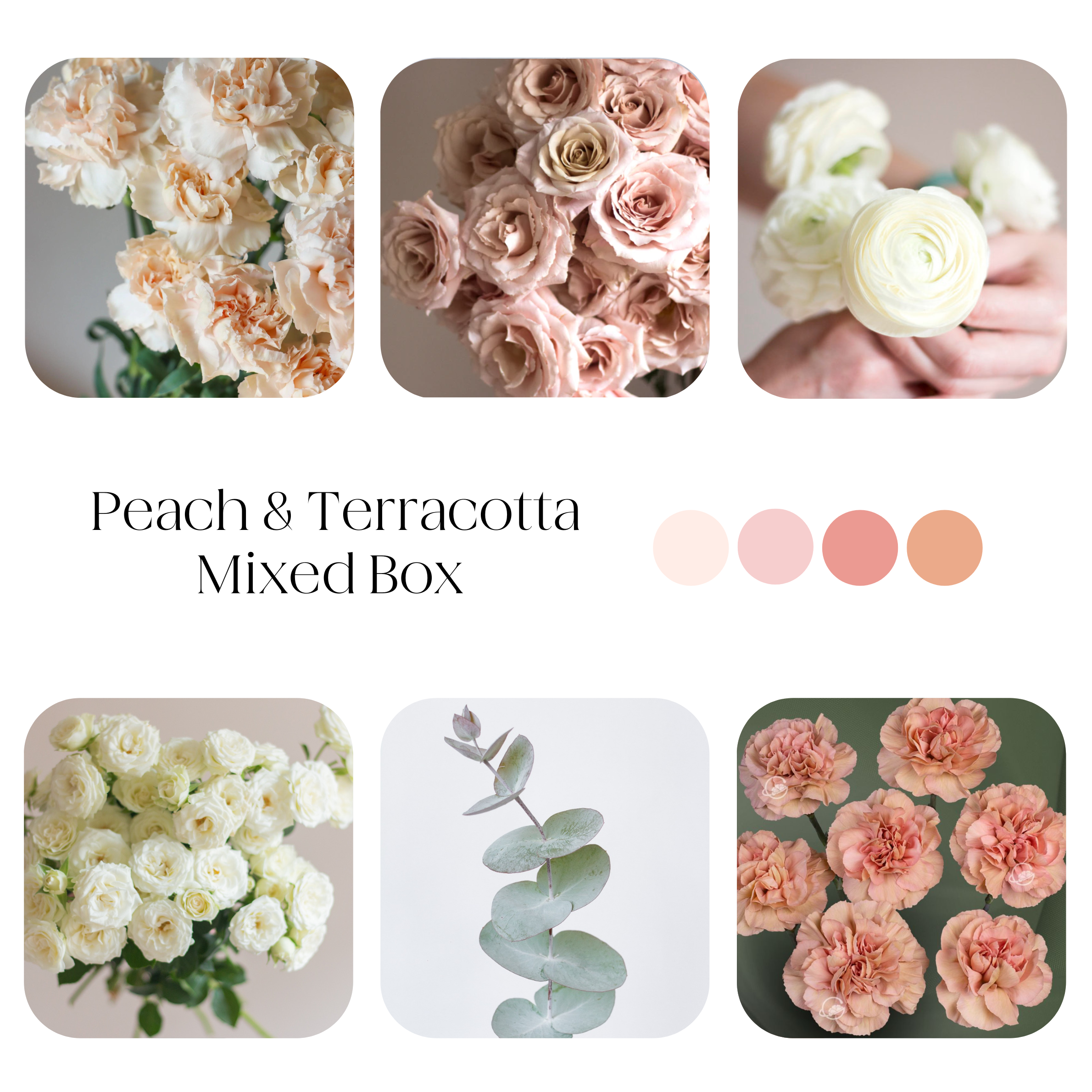 peach and terracotta mixed diy flower box