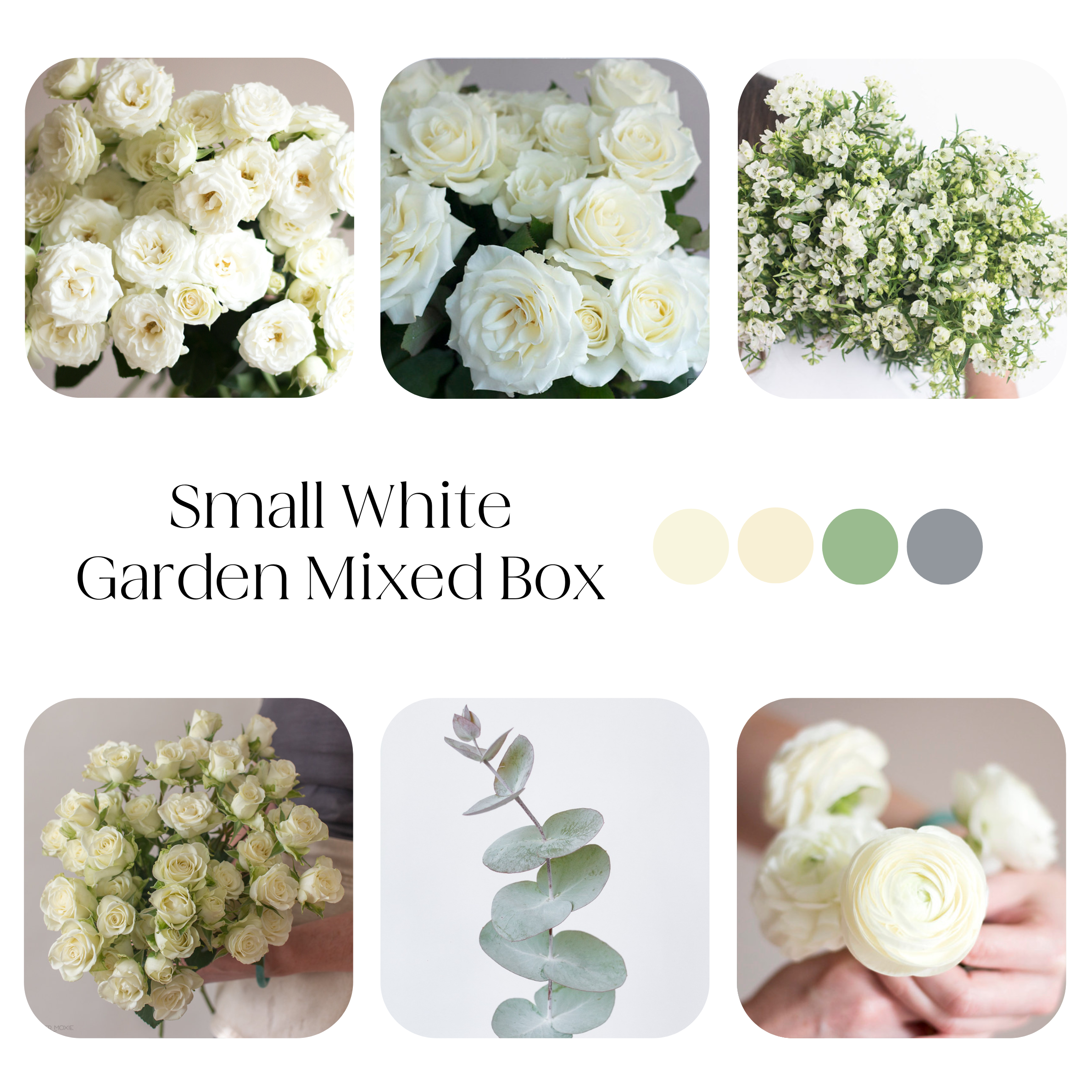 small white garden diy flower box