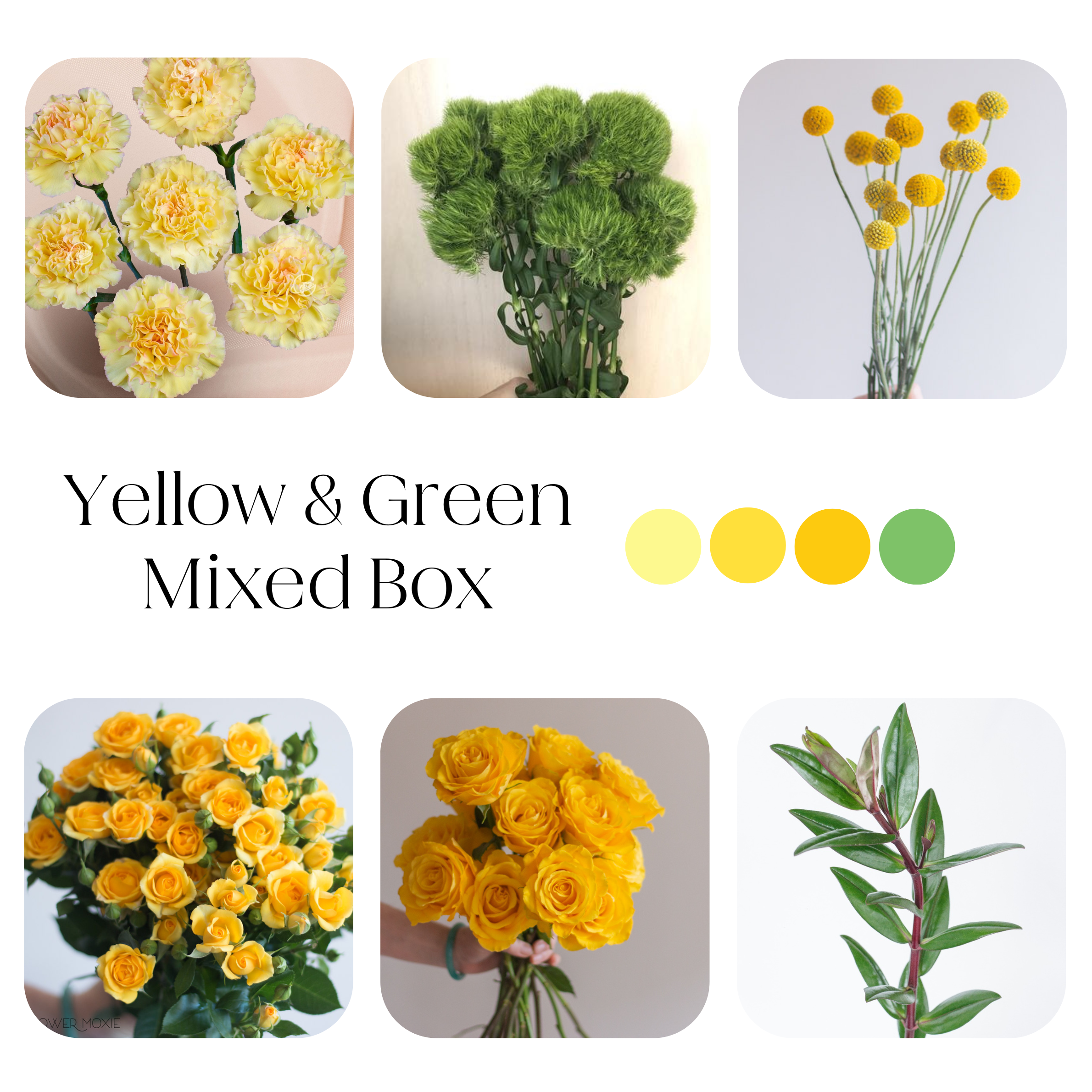 yellow and green diy flower box