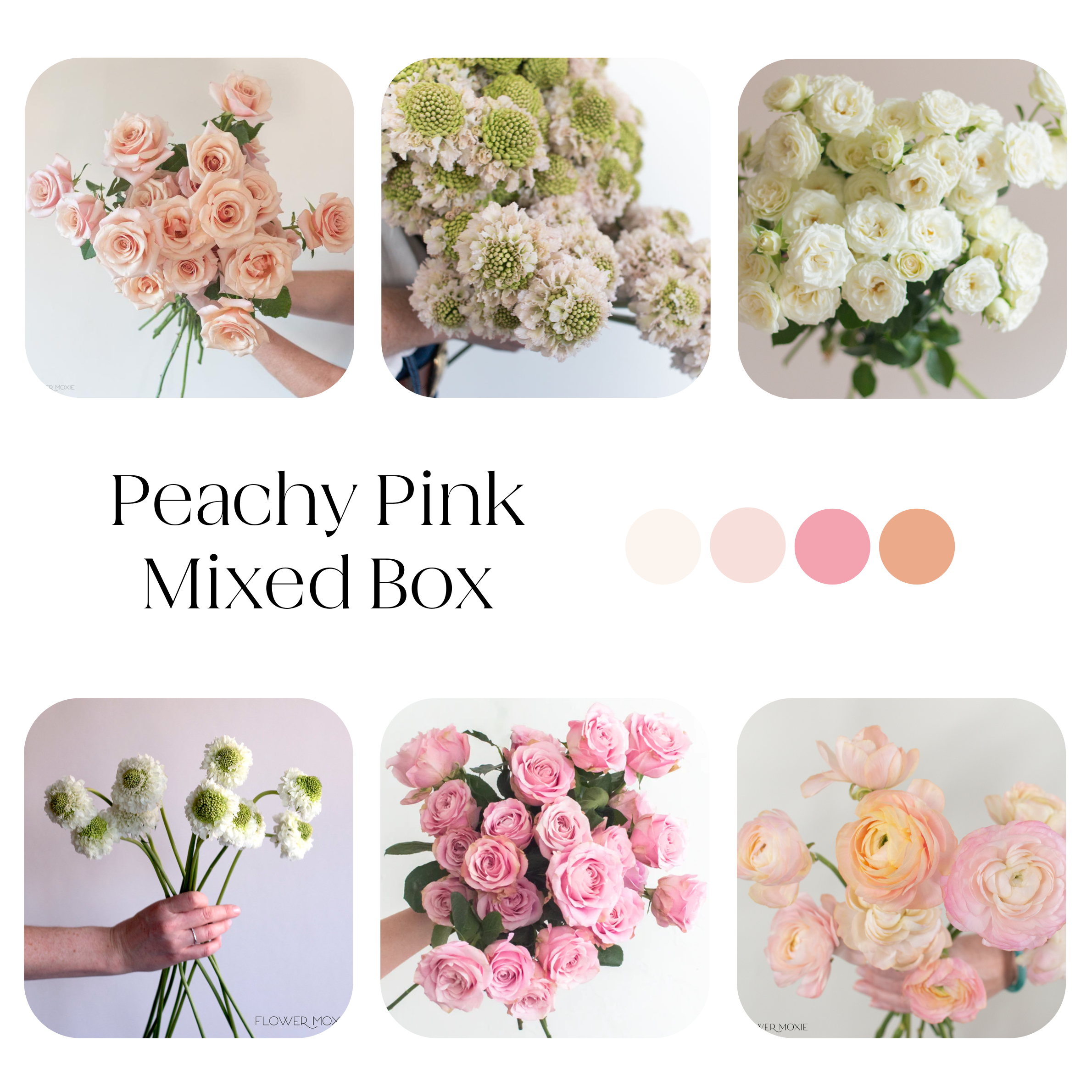 peachy pink mixed diy flower box