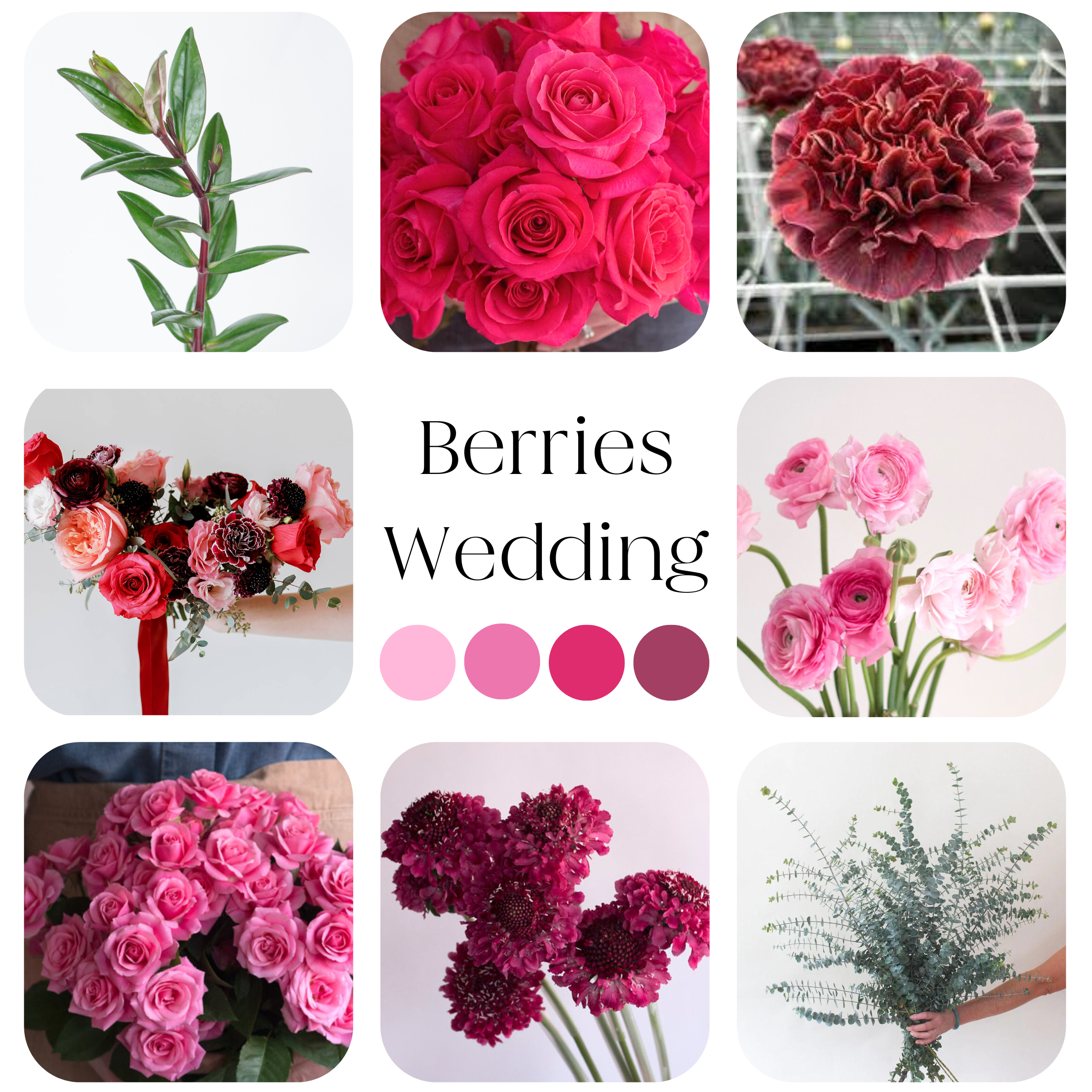 berries palette diy wedding flowers kit