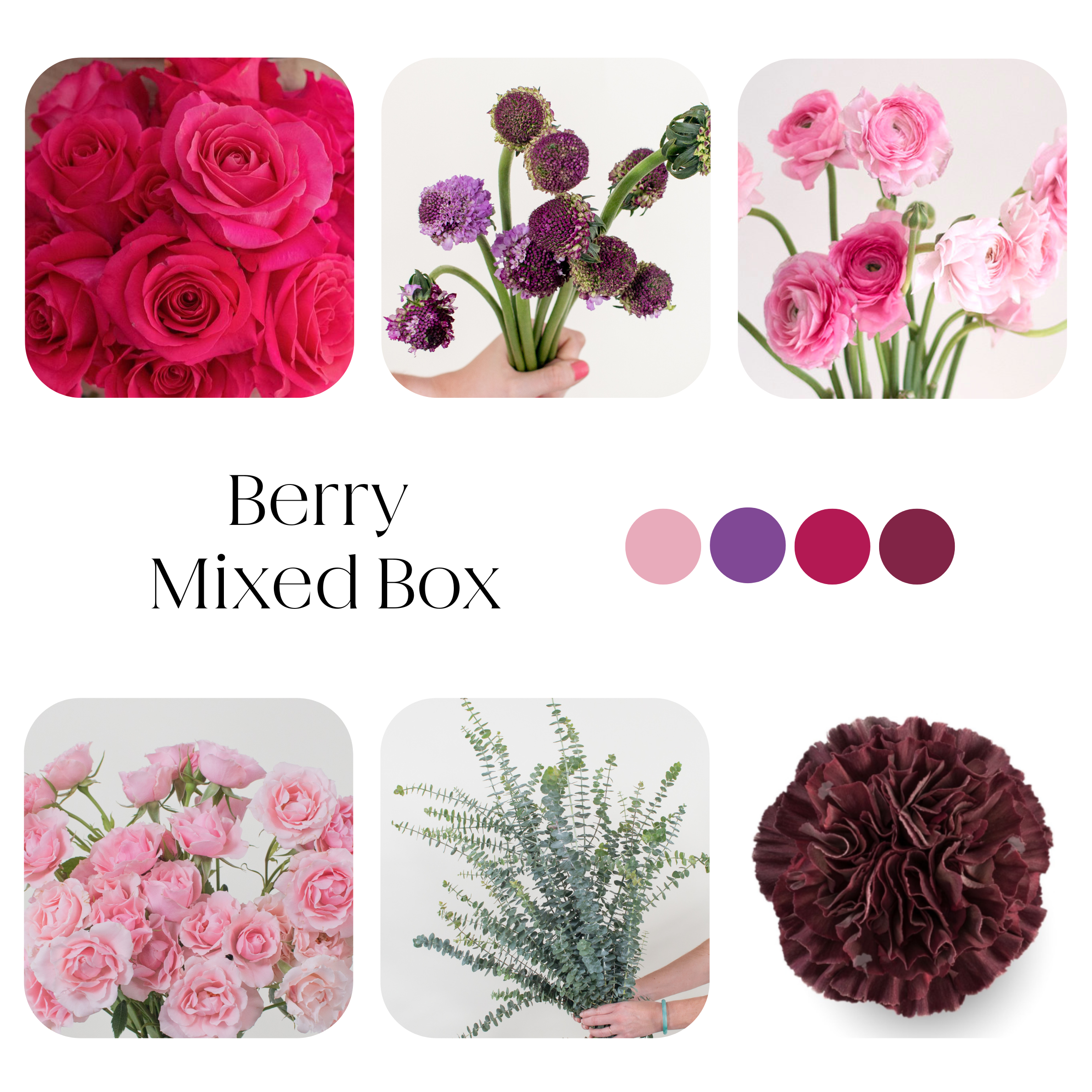berry mixed diy flower box