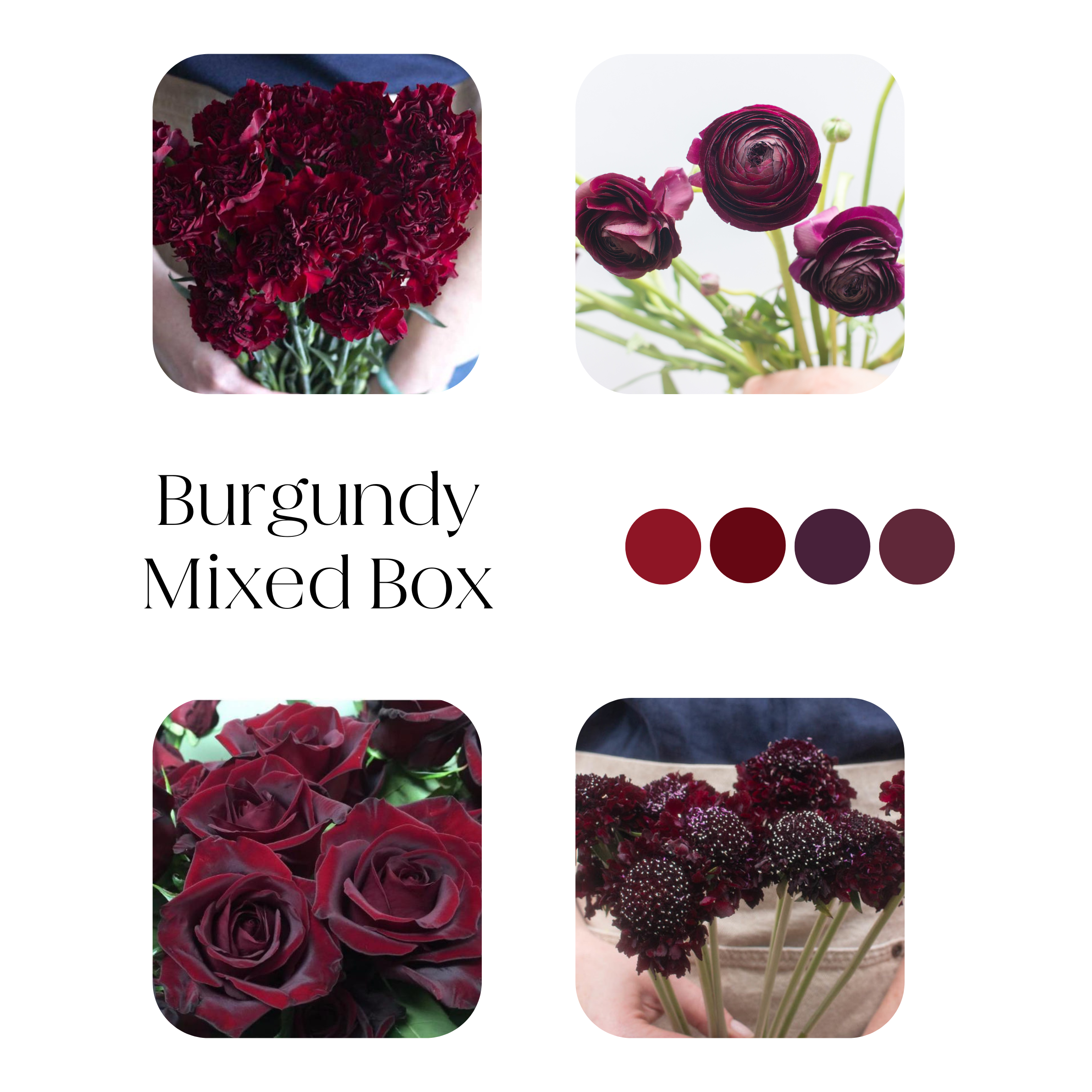 burgundy mixed flower box