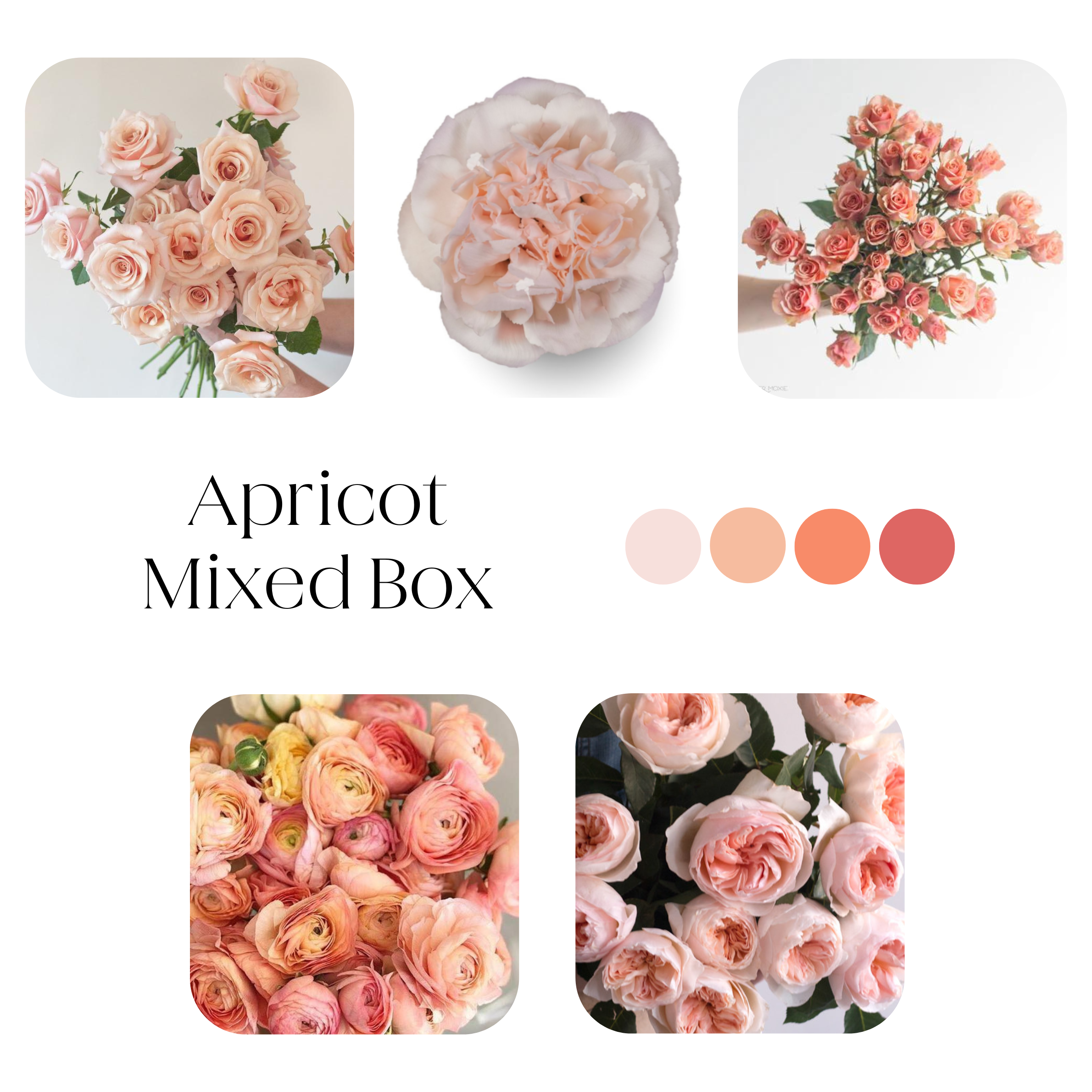 mixed peach diy flower box
