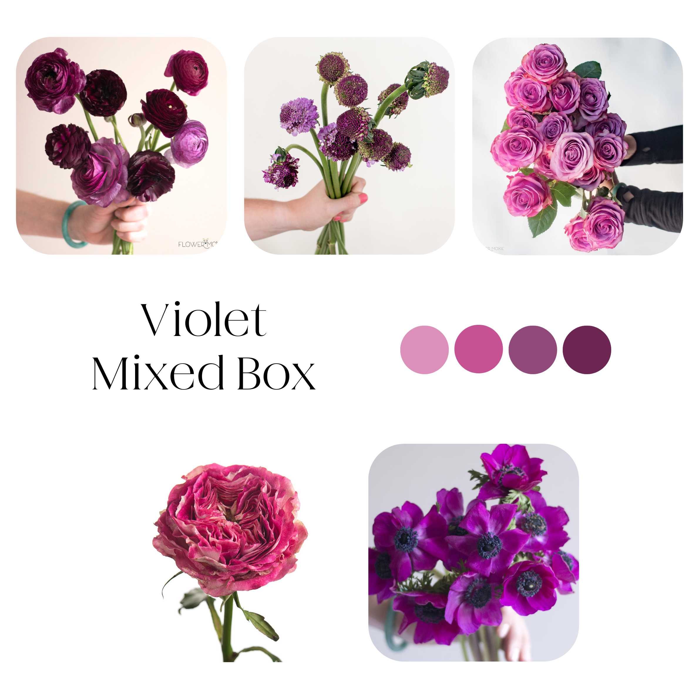 purple and violet mixed diy flower box