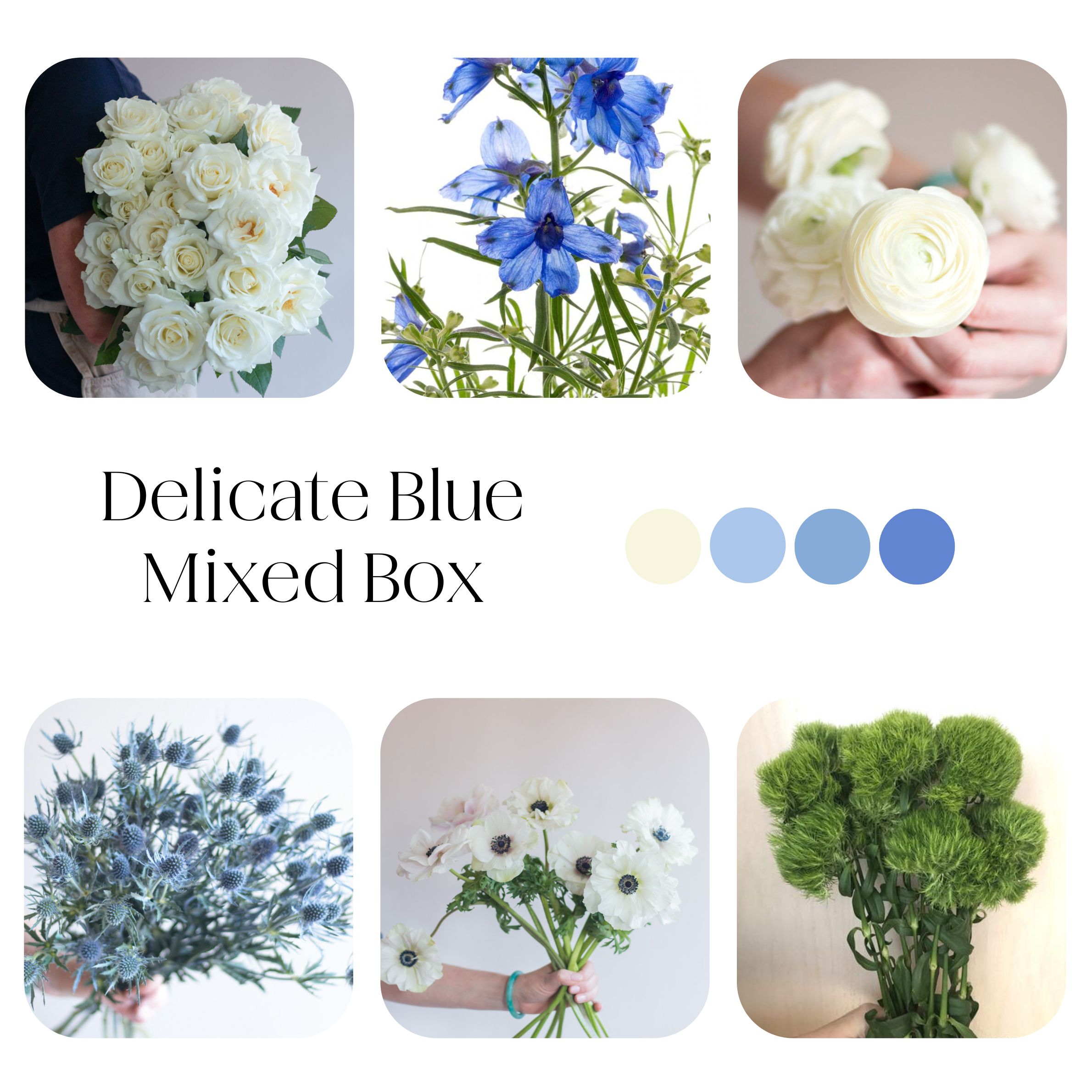 delicate blue diy mixed flower box