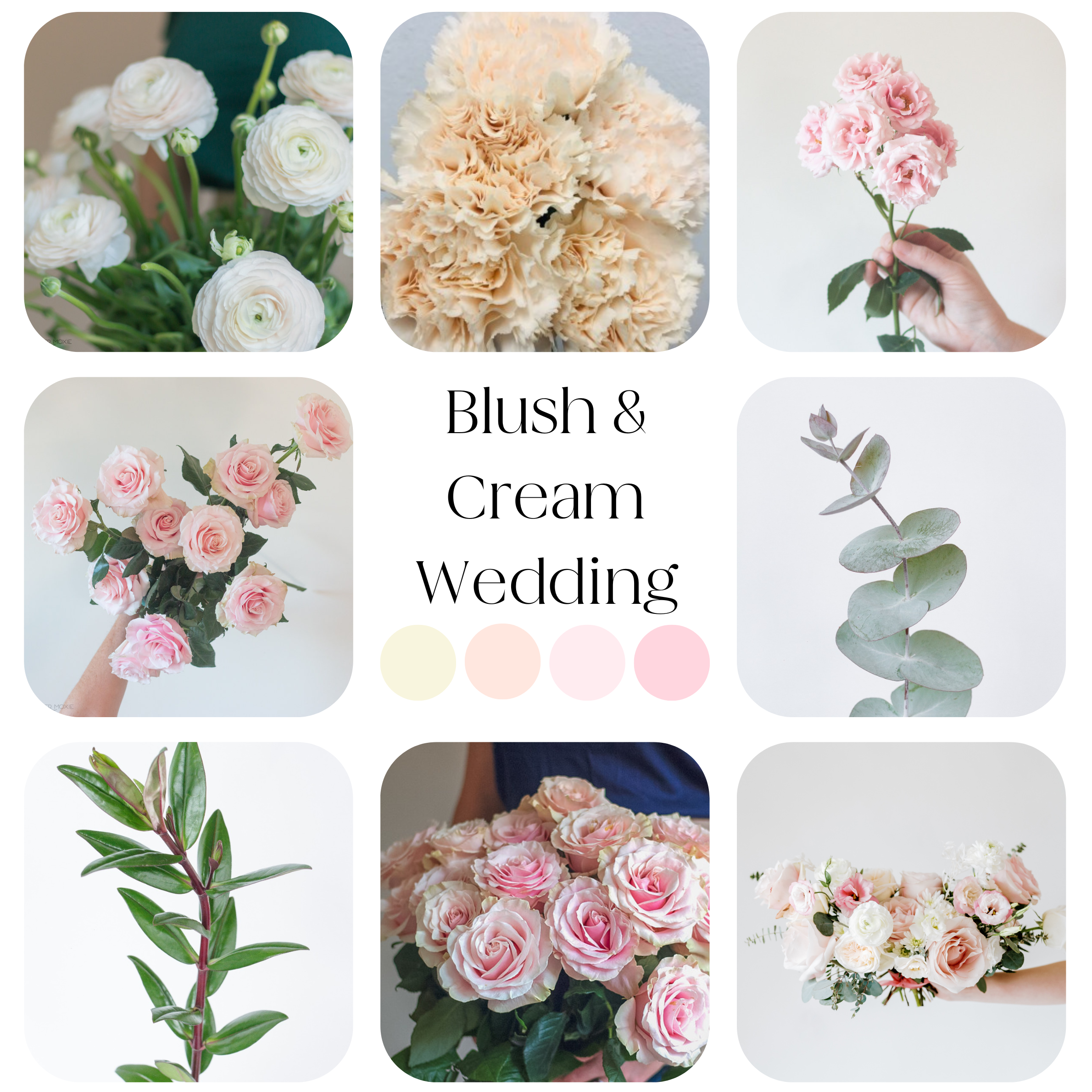 blush and cream palette diy wedding flowers kit