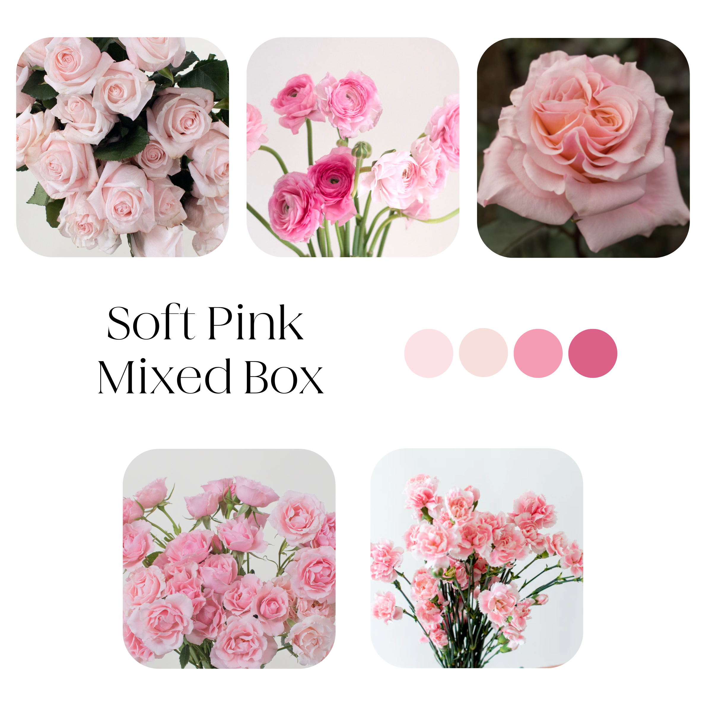 soft pink mixed diy flower box