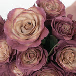 Painted and Dyed Antique Berry Novelty Rose