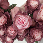 Painted and Dyed Sweet Plum Novelty Rose
