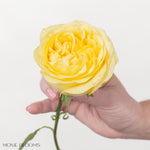 yellow garden rose bouquet