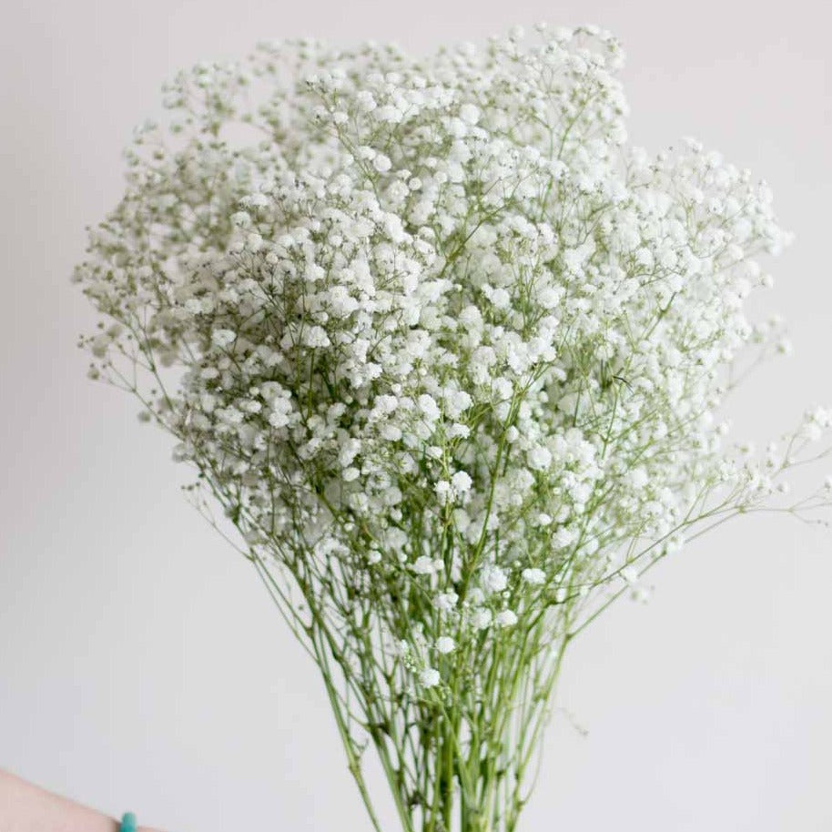 Wholesale baby breath garland To Beautify Your Environment