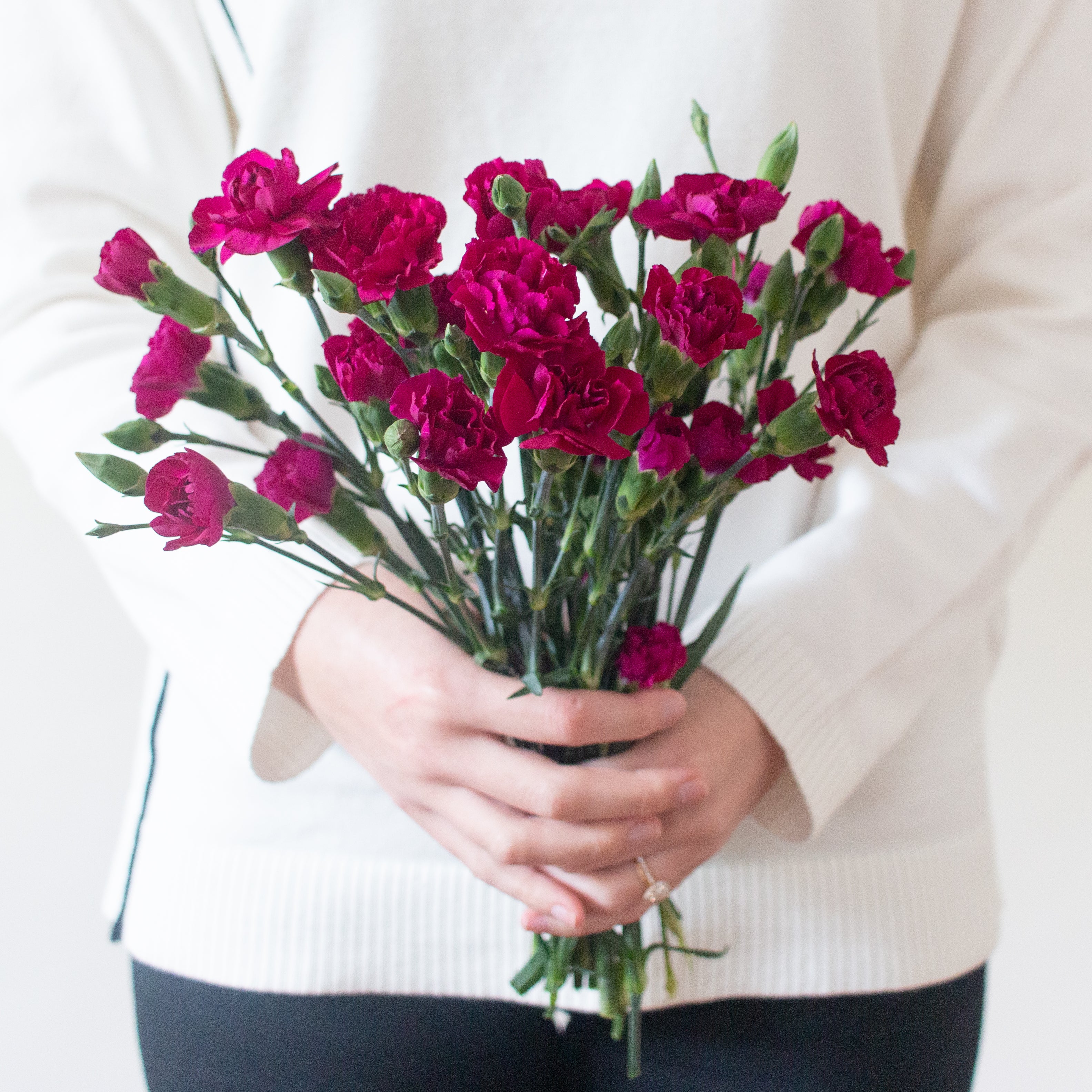 bulk fuchsia mini carnations
