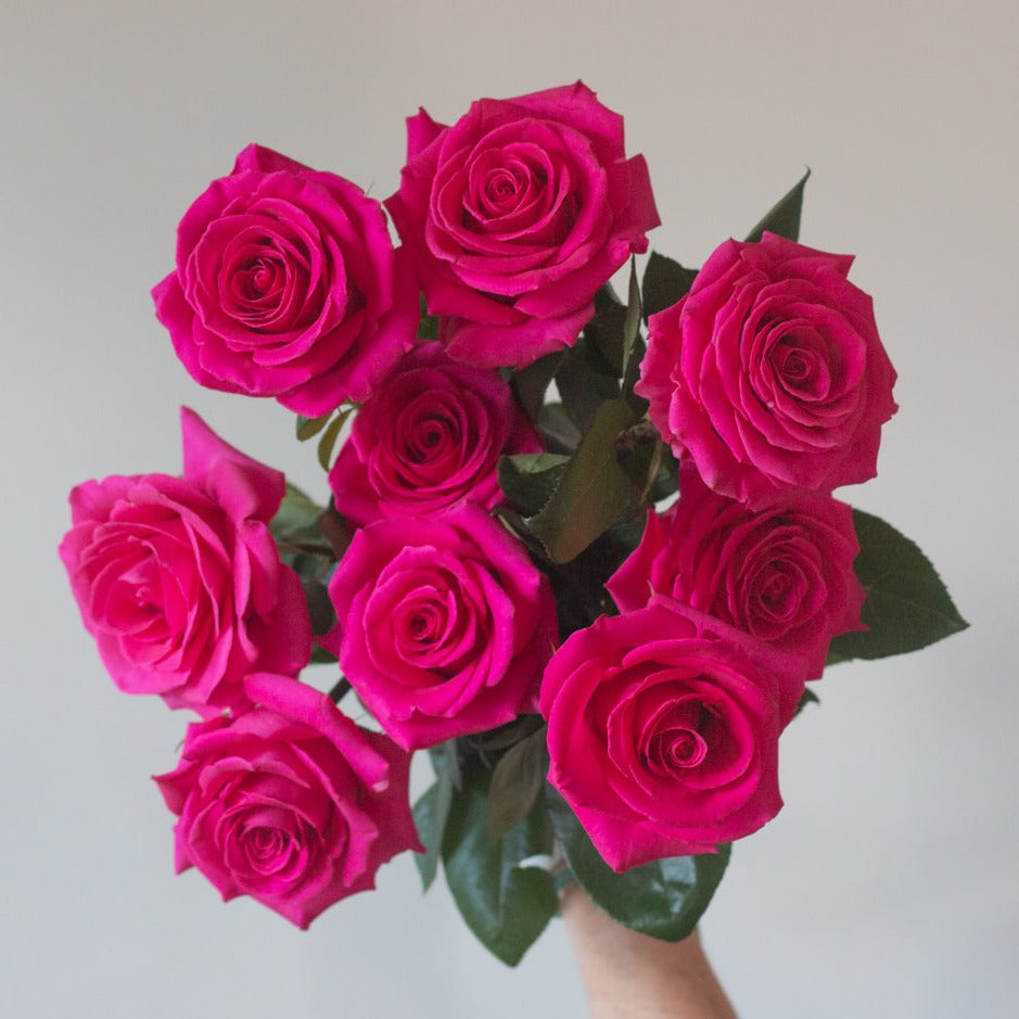 bulk dark pink roses