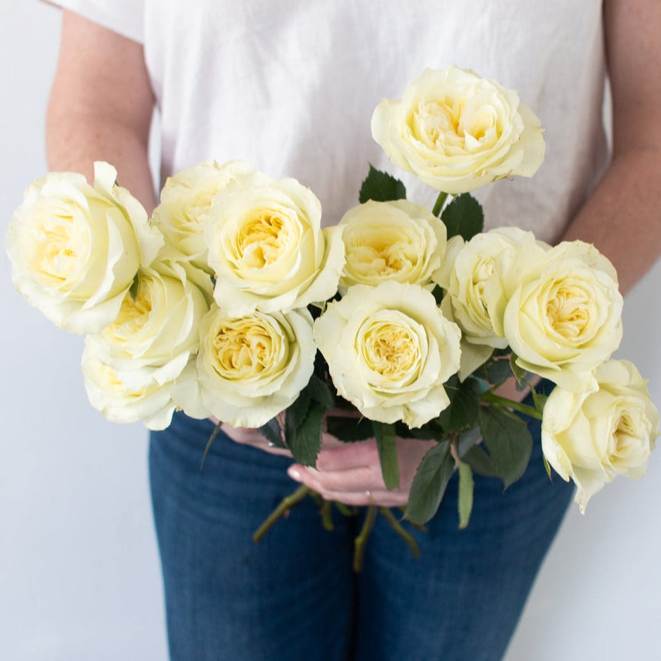 mayra's white wedding garden roses
