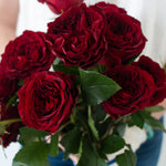 bulk red garden roses
